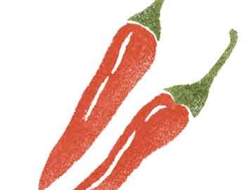 野菜の唐辛子を描いた判子風イラスト