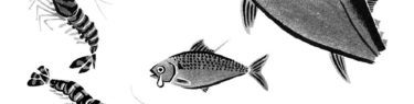 danchuに寄稿した水墨画の魚のイラスト