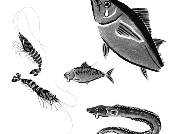 danchuに寄稿した水墨画の魚のイラスト