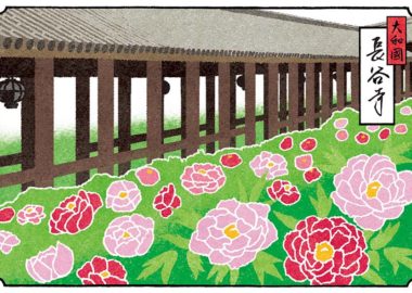 奈良長谷寺の牡丹の風景イラスト