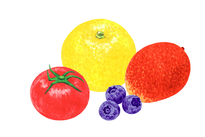 季節のフルーツと野菜 Tsumura Illustration Studio 和風イラストレーター